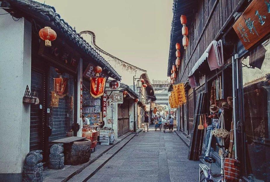 寻找迷路的松鼠